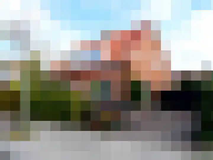 Vogelenzangseweg 167 Vogelenzang thumbnail 39