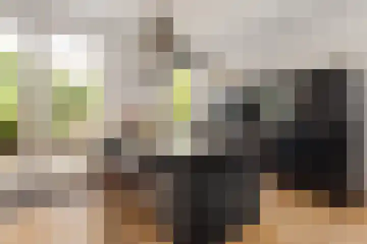 Vogelenzangseweg 167 Vogelenzang thumbnail 4