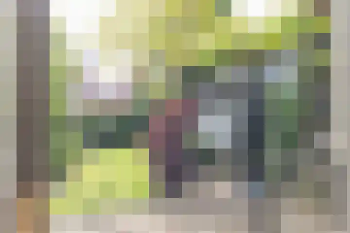 Vogelenzangseweg 171 Vogelenzang thumbnail 20