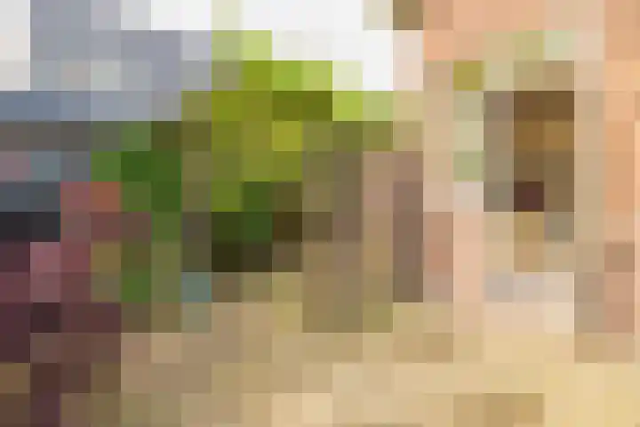 Vogelenzangseweg 171 Vogelenzang thumbnail 21