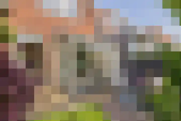 Vogelenzangseweg 171 Vogelenzang thumbnail 22
