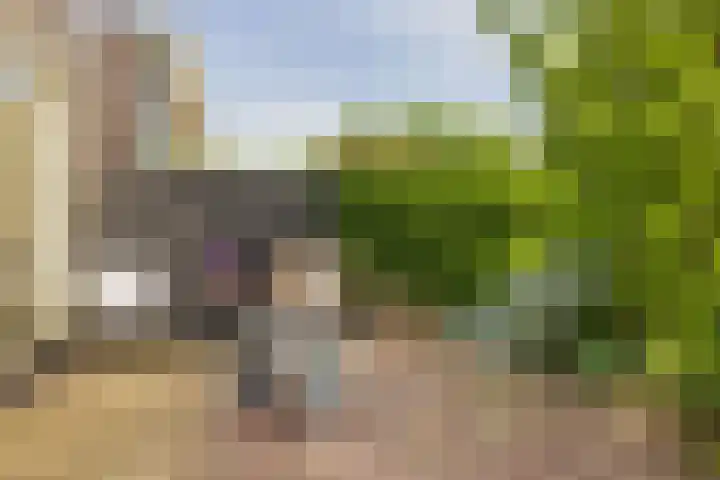 Vogelenzangseweg 171 Vogelenzang thumbnail 23