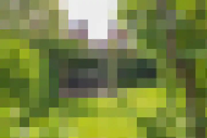 Vogelenzangseweg 171 Vogelenzang thumbnail 24