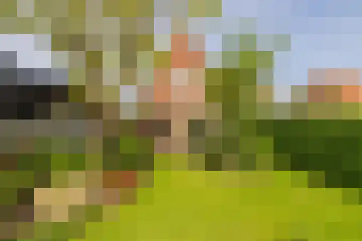 Vogelenzangseweg 171 Vogelenzang thumbnail 25