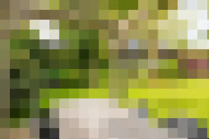 Vogelenzangseweg 171 Vogelenzang thumbnail 26