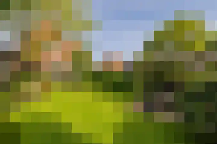 Vogelenzangseweg 171 Vogelenzang thumbnail 27