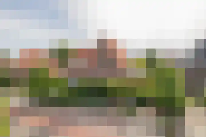 Vogelenzangseweg 171 Vogelenzang thumbnail 45