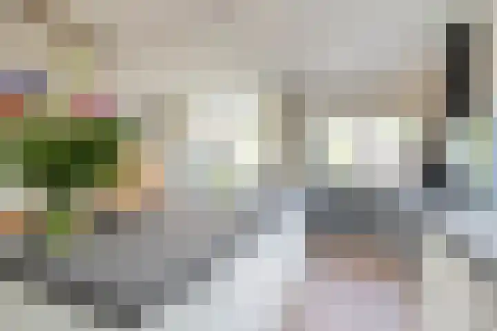 Vogelenzangseweg 262 Vogelenzang thumbnail 22