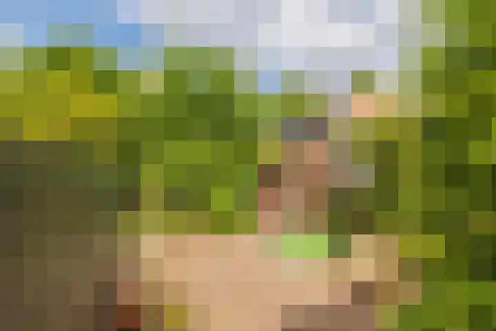 Vogelenzangseweg 262 Vogelenzang thumbnail 25
