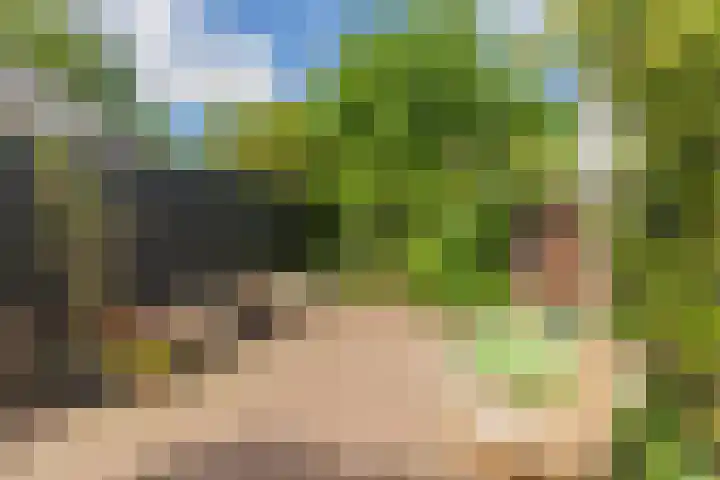 Vogelenzangseweg 262 Vogelenzang thumbnail 26