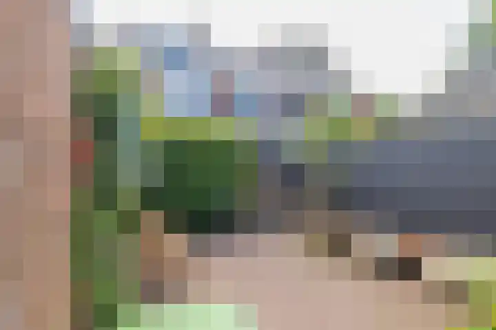 Vogelenzangseweg 262 Vogelenzang thumbnail 31