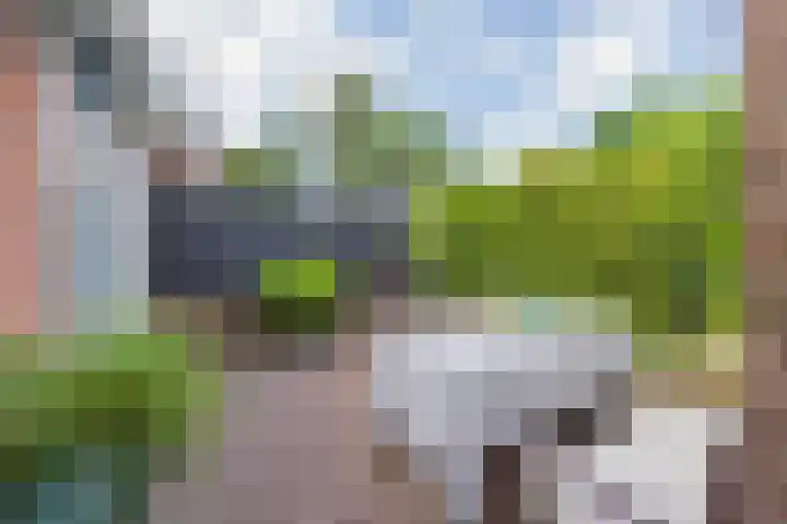 Vogelenzangseweg 262 Vogelenzang thumbnail 32