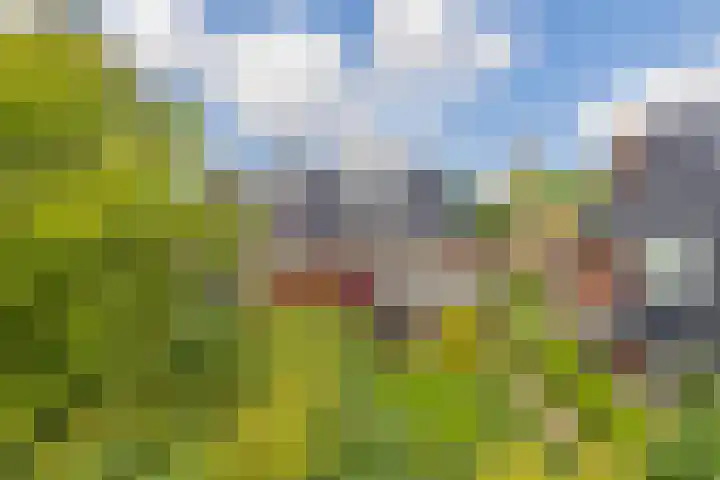 Vogelenzangseweg 262 Vogelenzang thumbnail 46