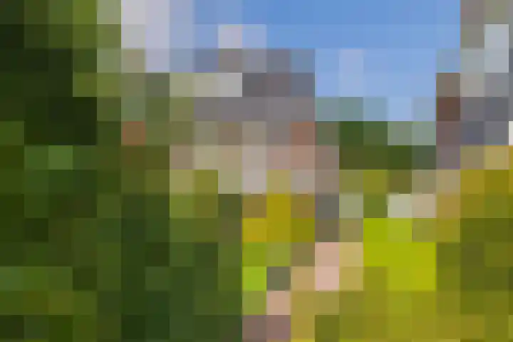 Vogelenzangseweg 262 Vogelenzang thumbnail 47