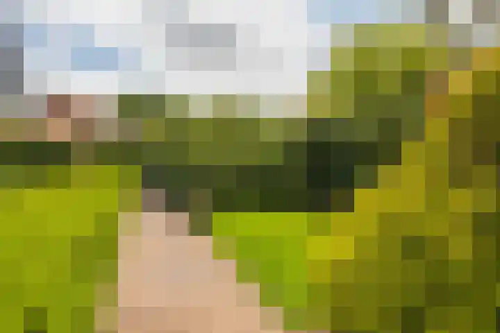 Vogelenzangseweg 262 Vogelenzang thumbnail 48