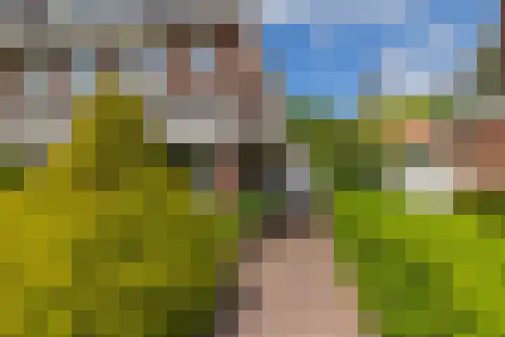 Vogelenzangseweg 262 Vogelenzang thumbnail 7