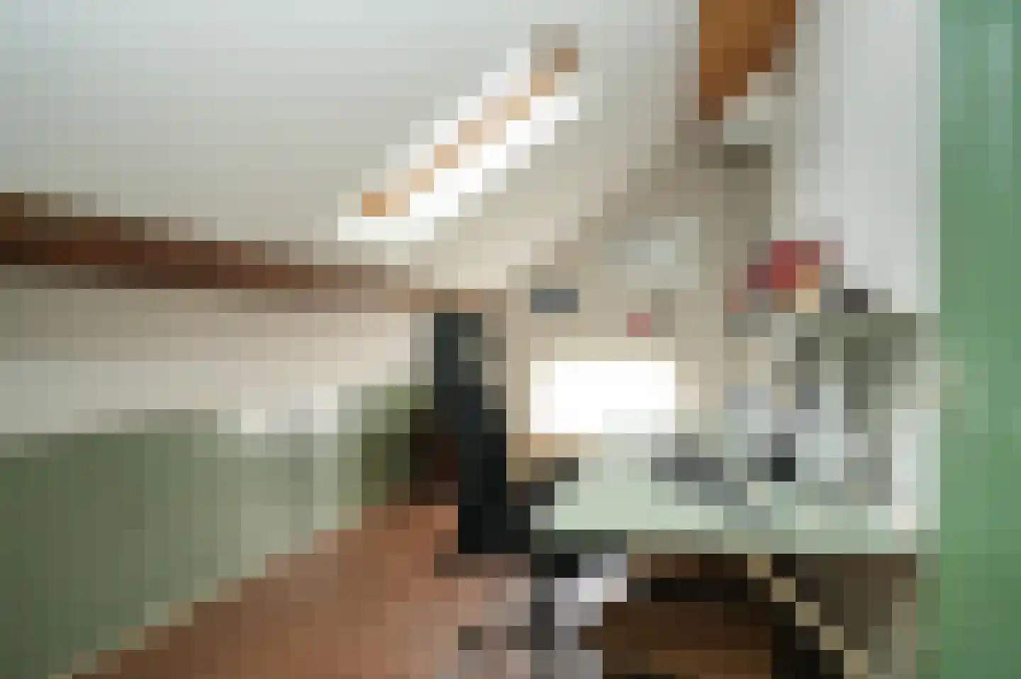 Vogelenzangseweg 28 Lienden thumbnail 27