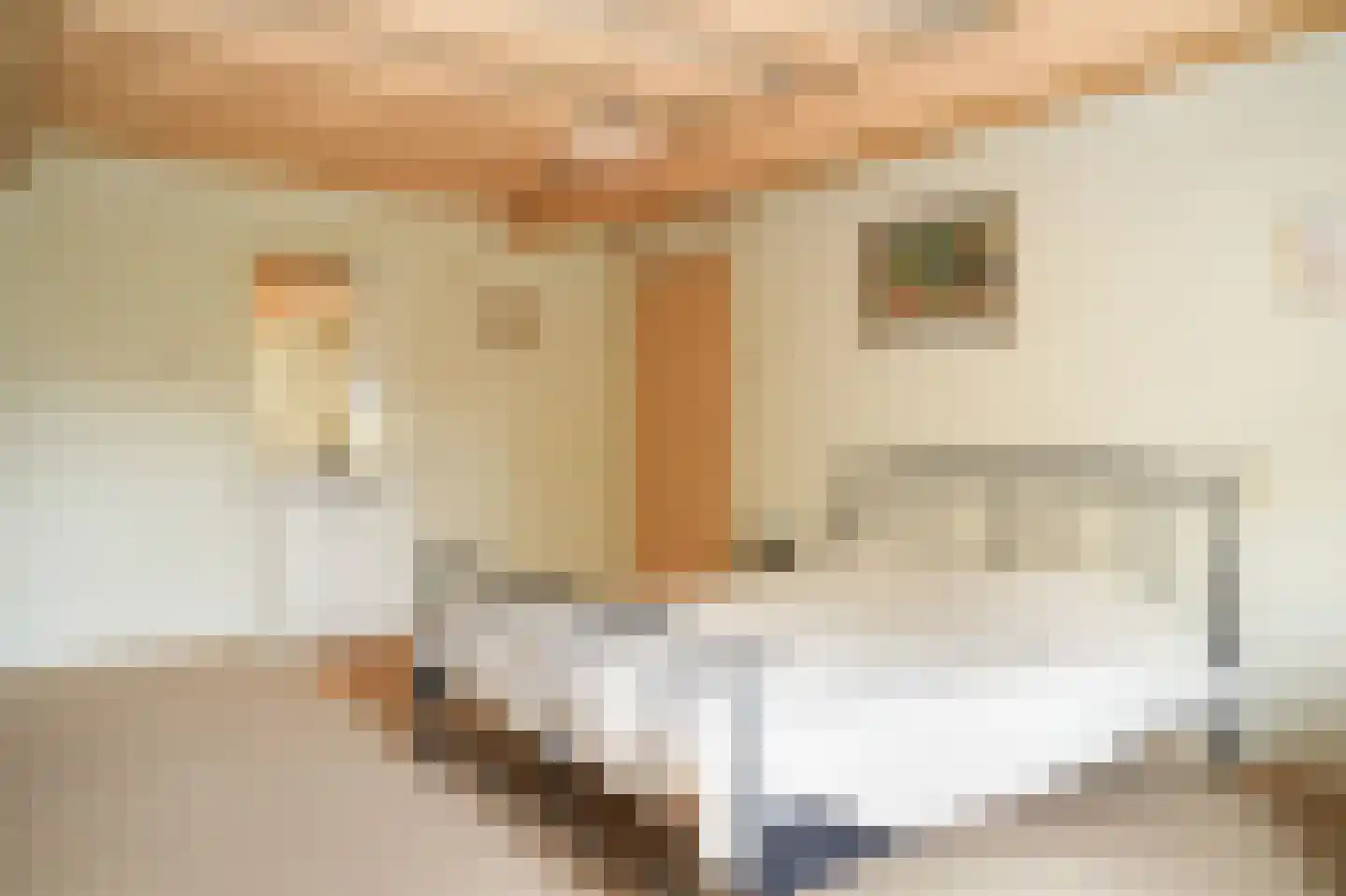 Vogelenzangseweg 28 Lienden thumbnail 34