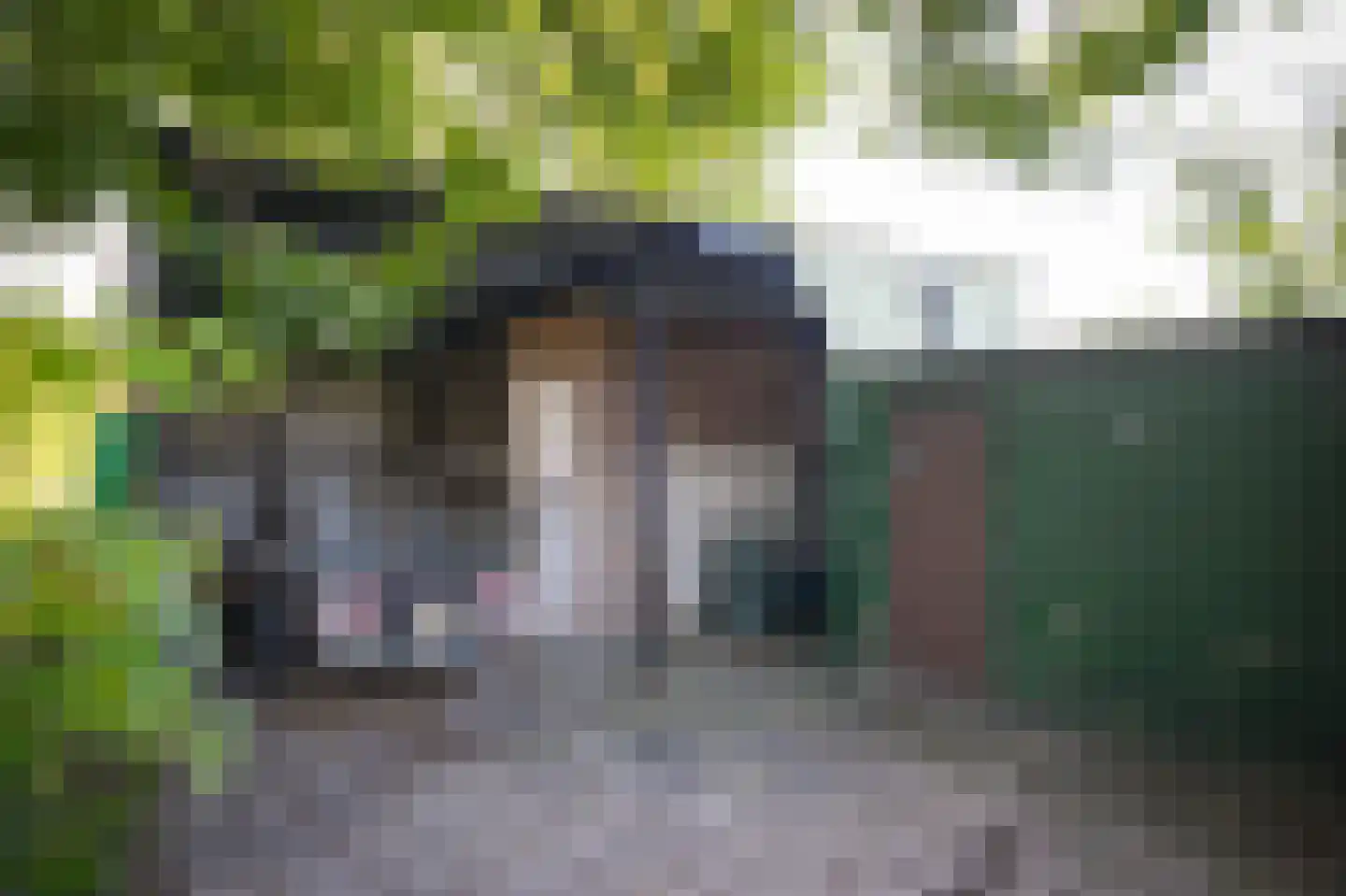 Vogelenzangseweg 28 Lienden thumbnail 50