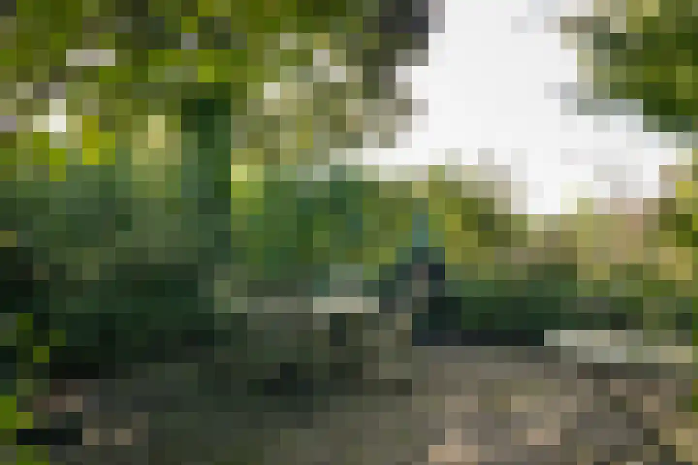 Vogelenzangseweg 28 Lienden thumbnail 51