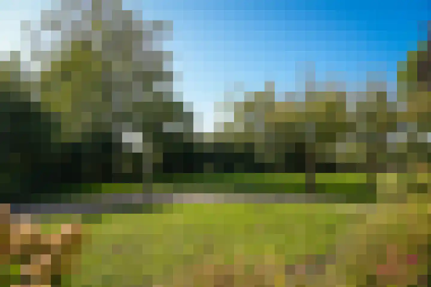 Vogelenzangseweg 28 Lienden thumbnail 53