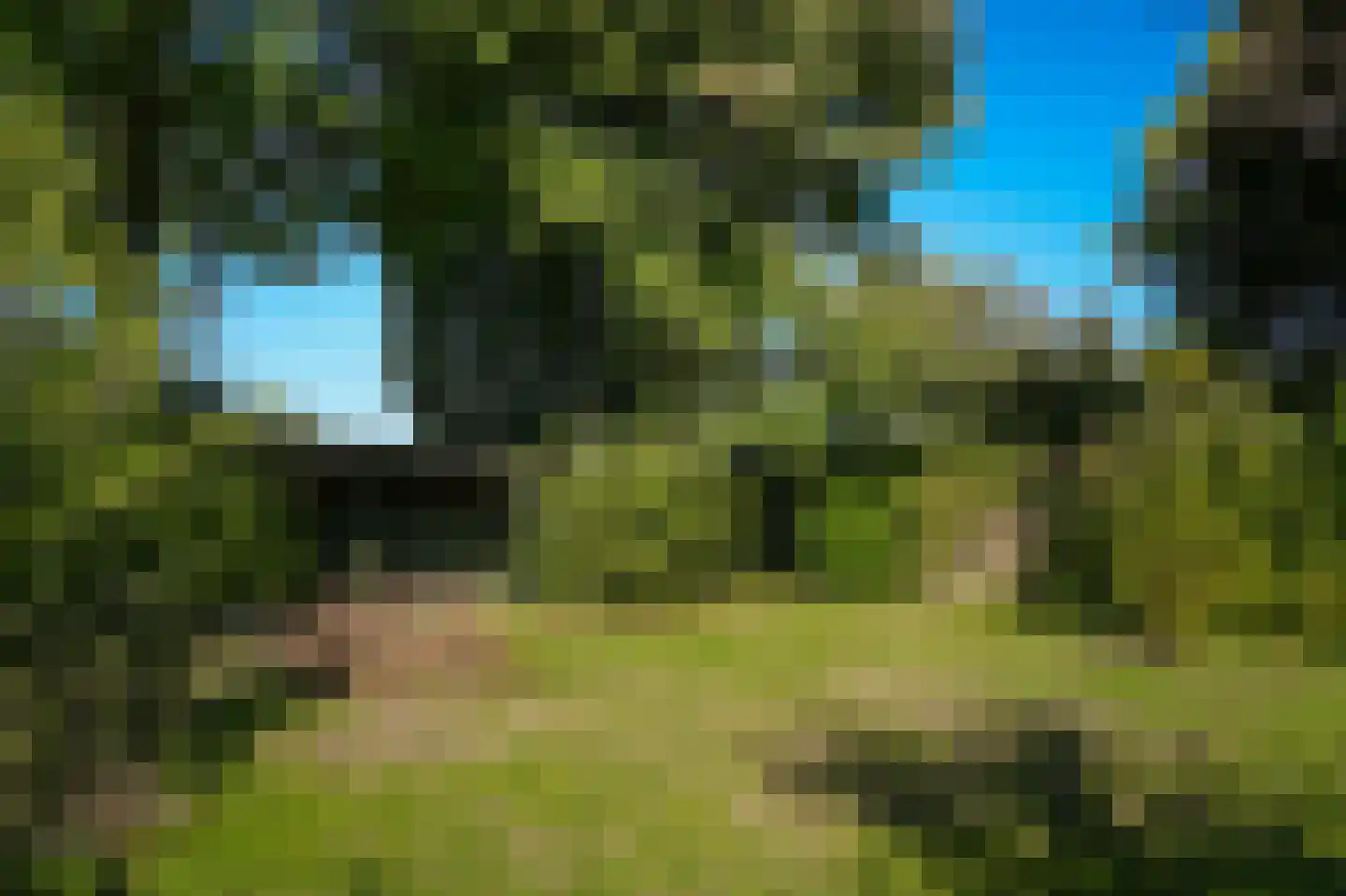 Vogelenzangseweg 28 Lienden thumbnail 55