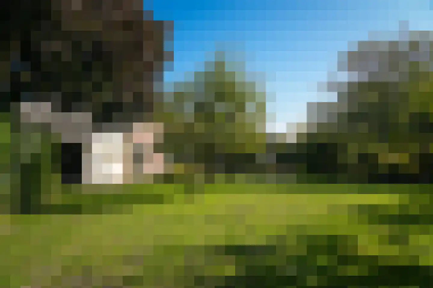 Vogelenzangseweg 28 Lienden thumbnail 56