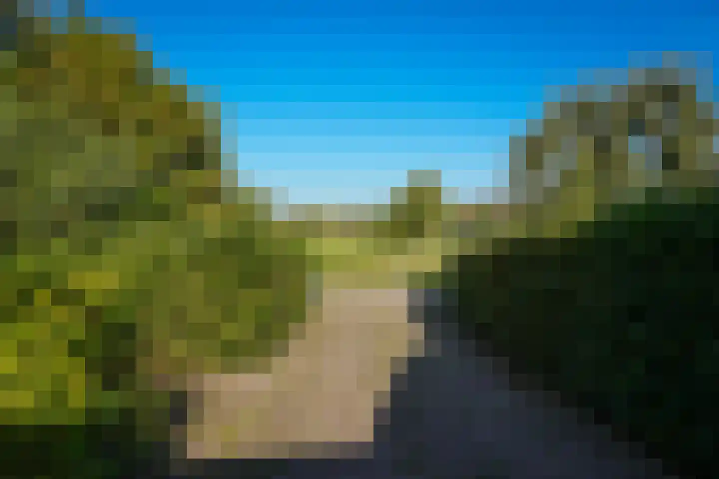 Vogelenzangseweg 28 Lienden thumbnail 59