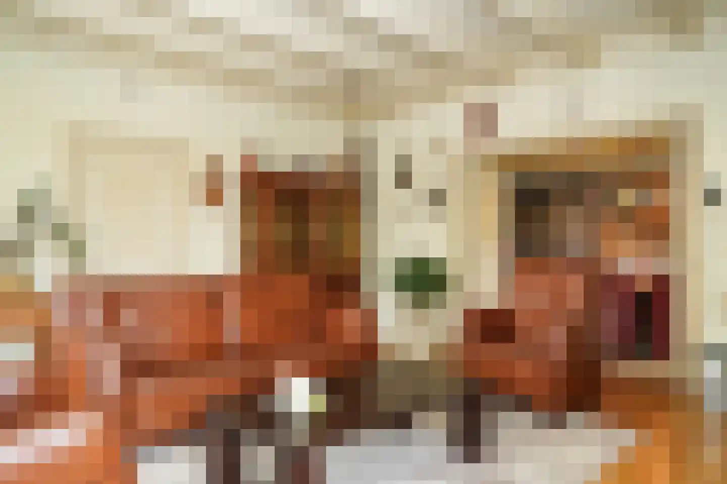 Vogelenzangseweg 28 Lienden thumbnail 8