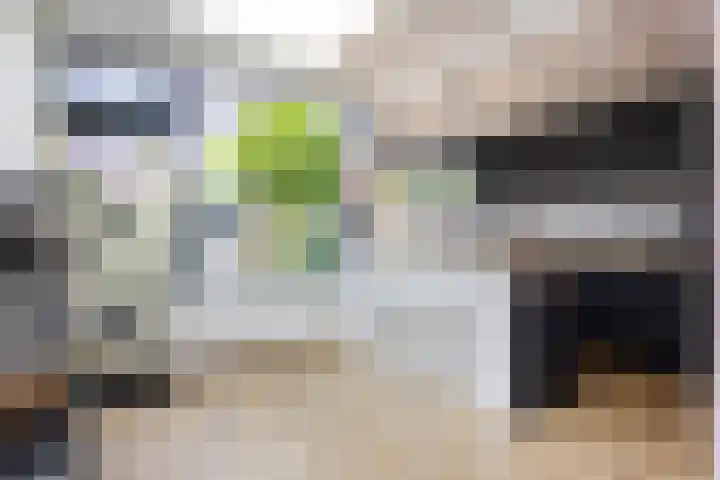 Vogelenzangseweg 366 Vogelenzang thumbnail 16