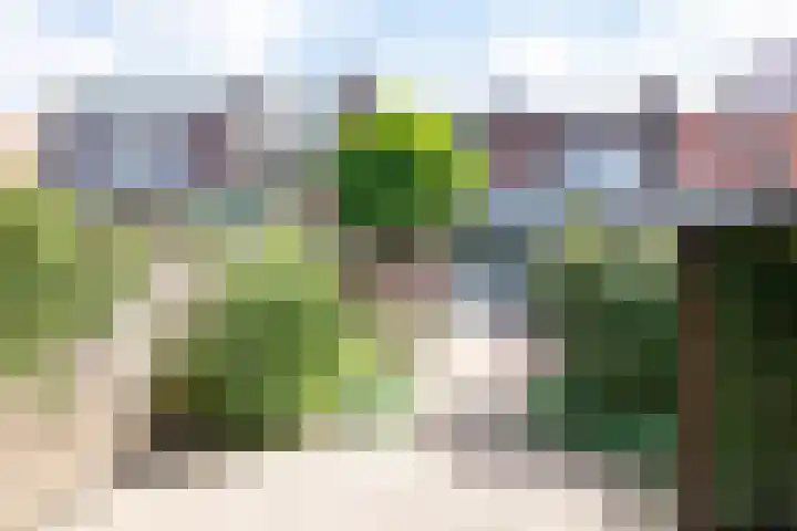 Vogelenzangseweg 366 Vogelenzang thumbnail 25