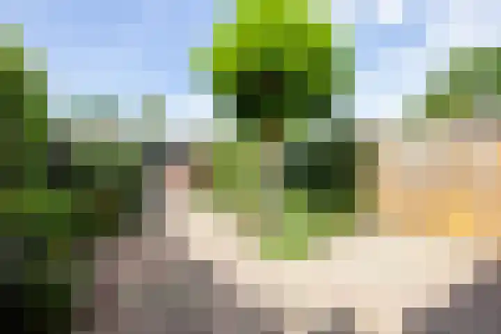 Vogelenzangseweg 366 Vogelenzang thumbnail 26