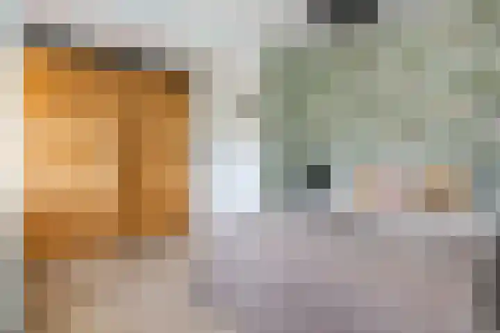 Vogelenzangseweg 366 Vogelenzang thumbnail 41