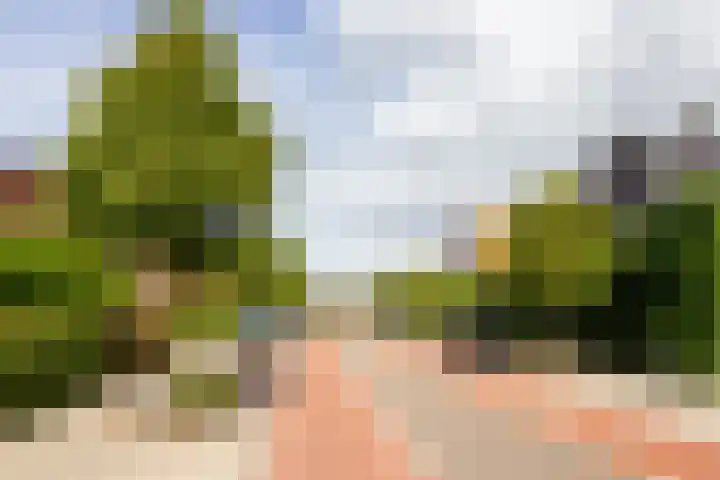 Vogelenzangseweg 366 Vogelenzang thumbnail 43