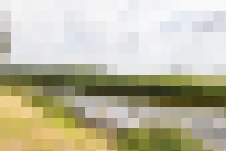 Vogelenzangseweg 366 Vogelenzang thumbnail 44