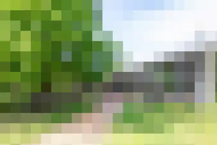 Vogelenzangseweg 366 Vogelenzang thumbnail 46
