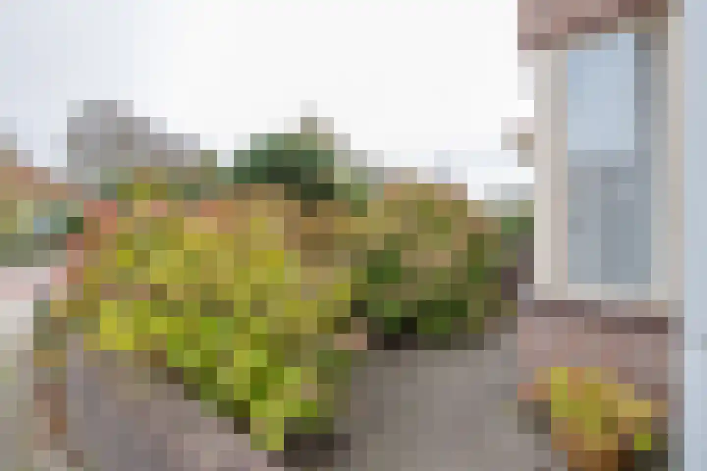 Vogelenzangseweg 370 a Vogelenzang thumbnail 33