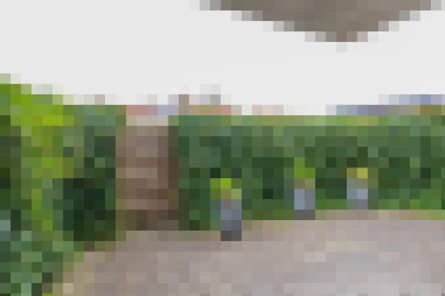 Vogelenzangseweg 370 a Vogelenzang thumbnail 5