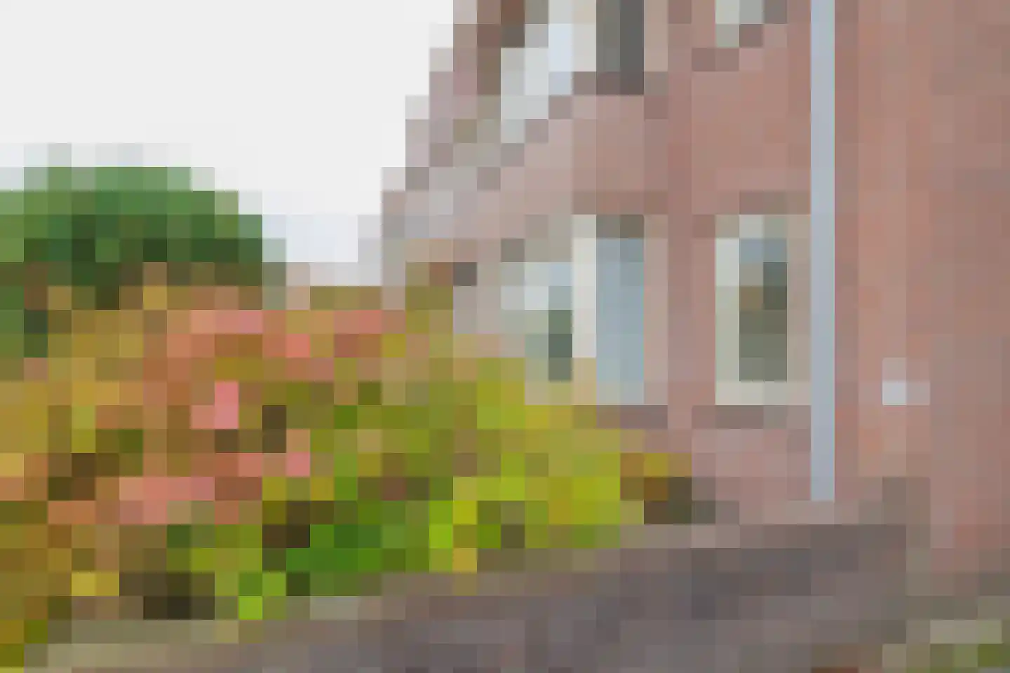 Vogelenzangseweg 370 a Vogelenzang thumbnail 6