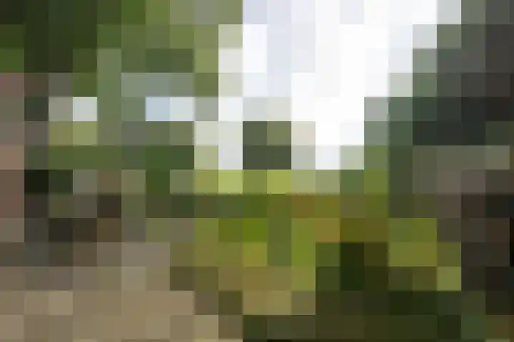 Vogelenzangseweg 45 Vogelenzang thumbnail 13