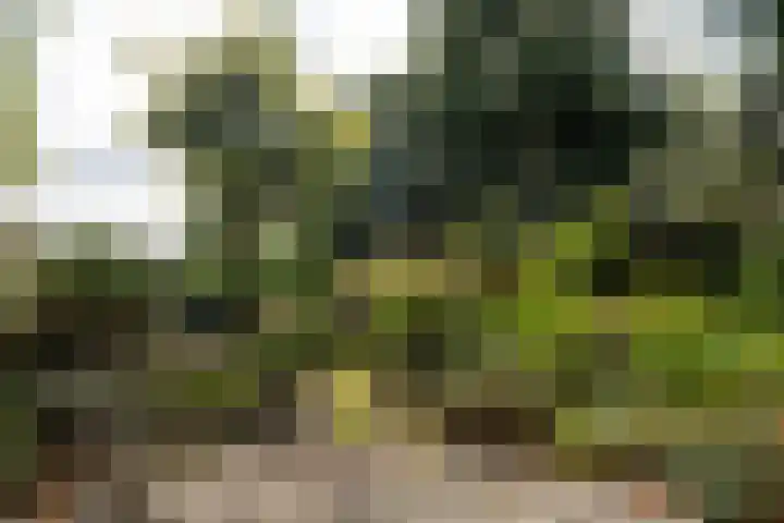 Vogelenzangseweg 45 Vogelenzang thumbnail 14