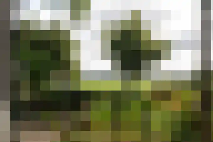 Vogelenzangseweg 45 Vogelenzang thumbnail 16