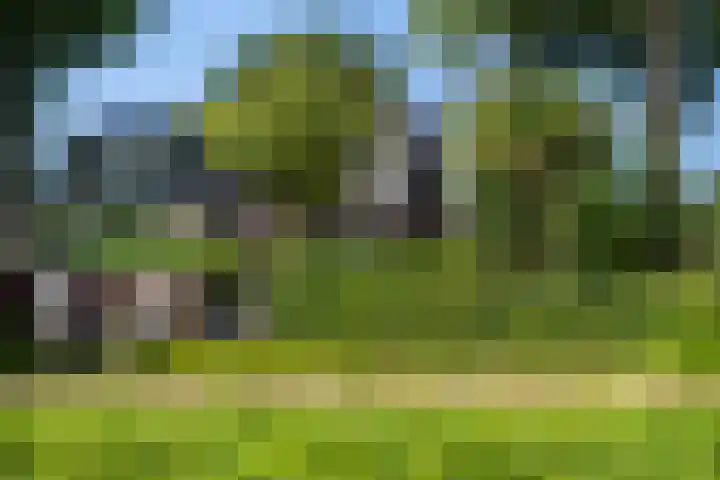 Vogelenzangseweg 45 Vogelenzang thumbnail 17