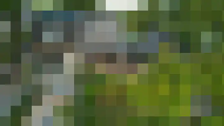 Vogelenzangseweg 45 Vogelenzang thumbnail 18