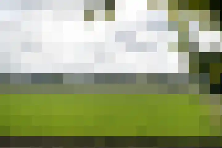 Vogelenzangseweg 45 Vogelenzang thumbnail 19