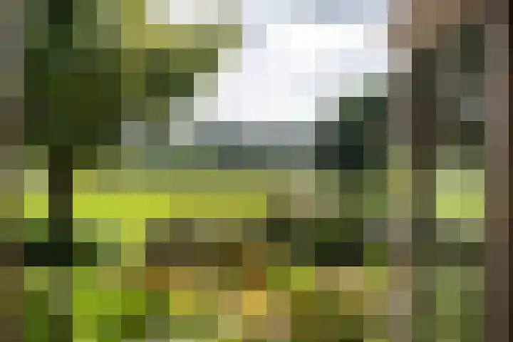 Vogelenzangseweg 45 Vogelenzang thumbnail 20