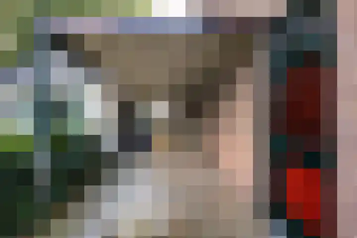 Vogelenzangseweg 45 Vogelenzang thumbnail 32