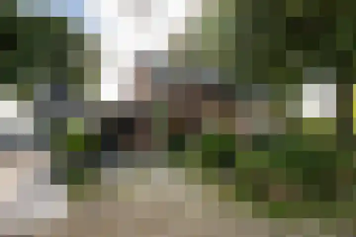 Vogelenzangseweg 45 Vogelenzang thumbnail 33