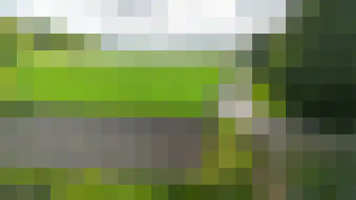Vogelenzangseweg 45 Vogelenzang thumbnail 35
