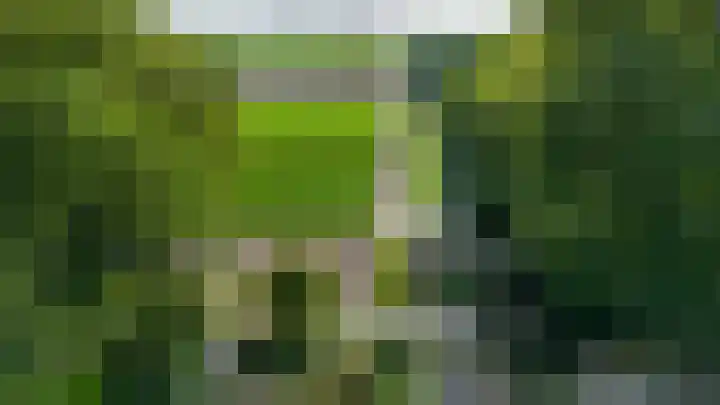 Vogelenzangseweg 45 Vogelenzang thumbnail 36